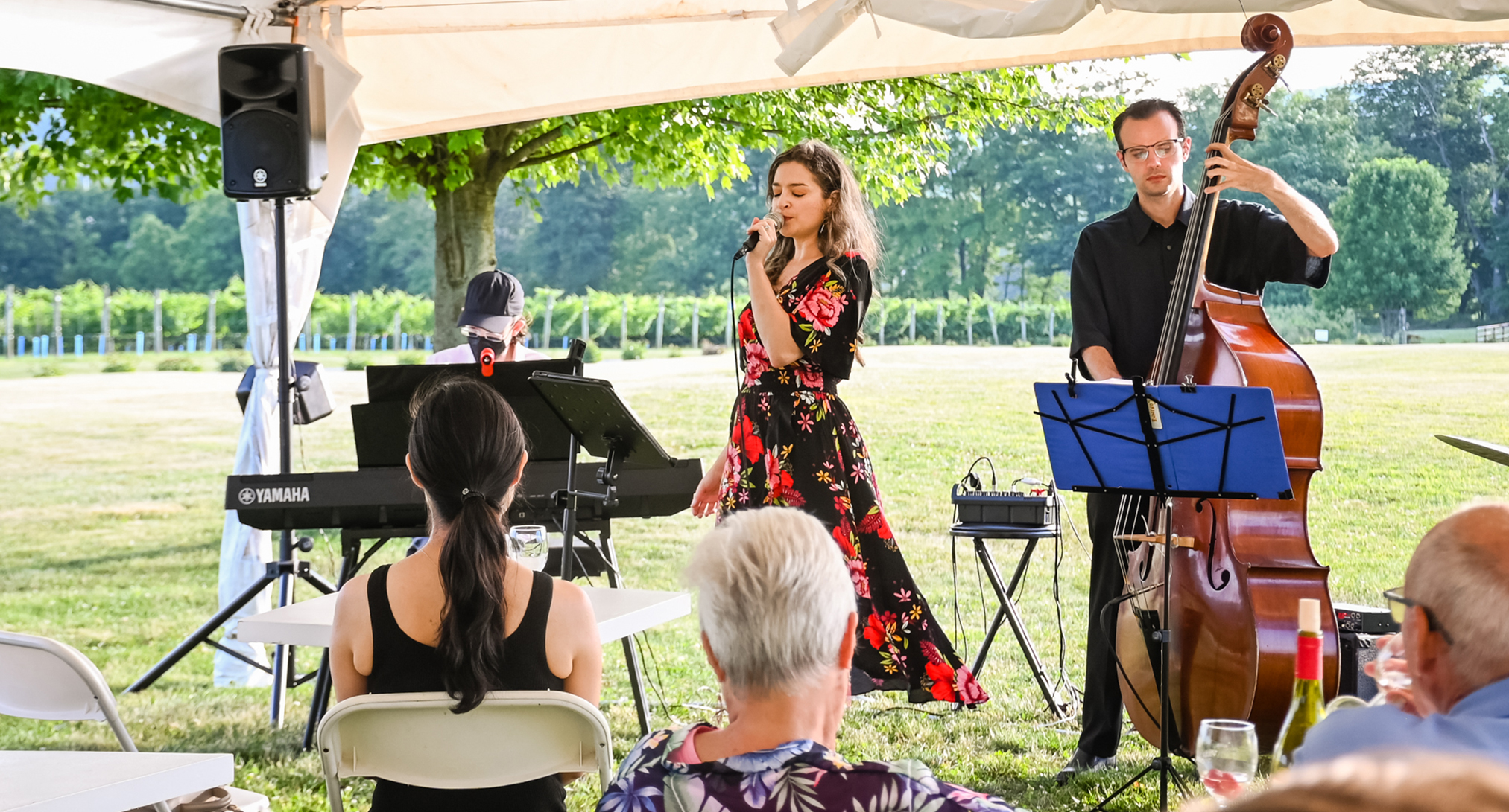 Ricky Manych Concerts | Live Music and Wine | Local Wine Events