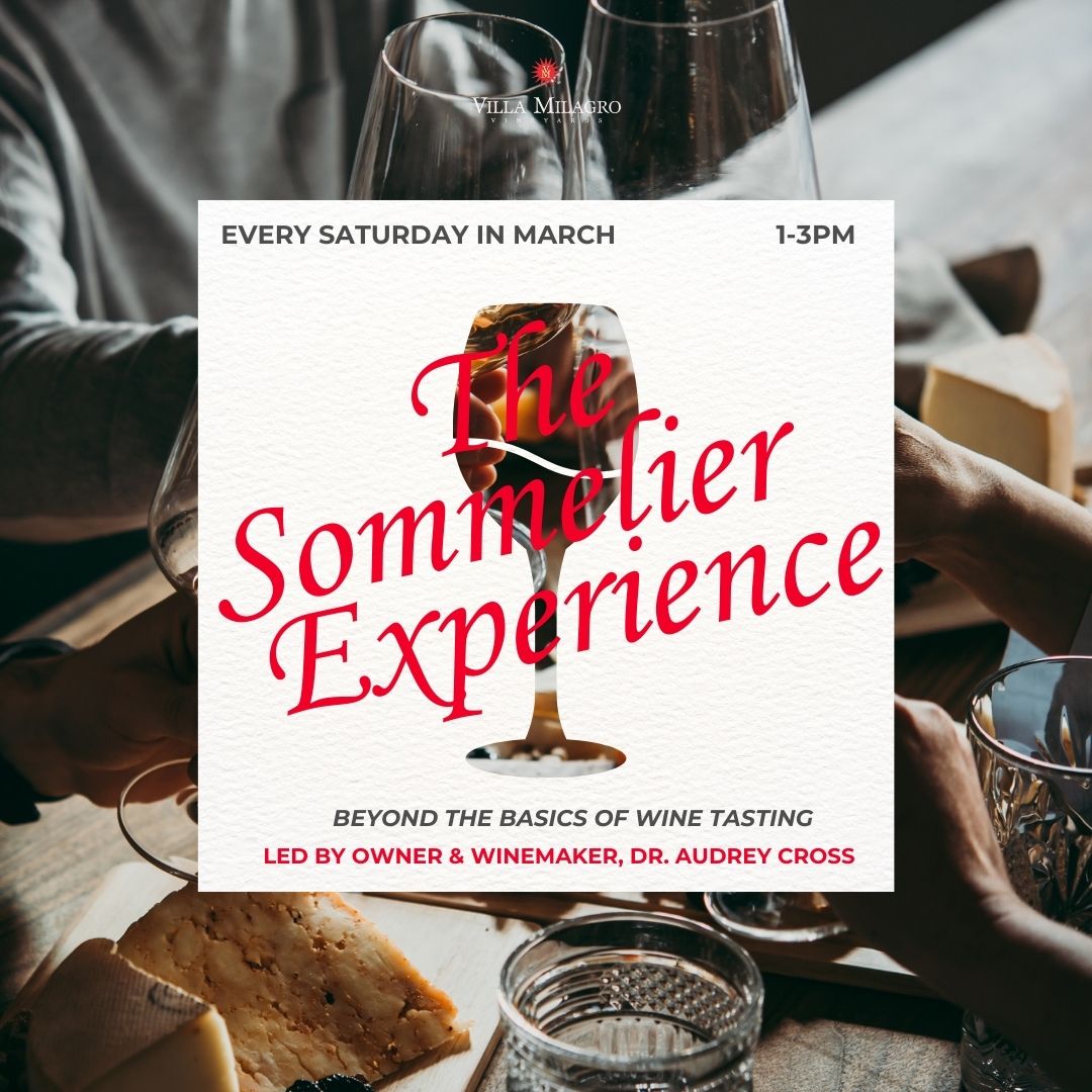 wine tasting classes at an NJ Winery