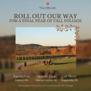 peak fall foliage in New Jersey