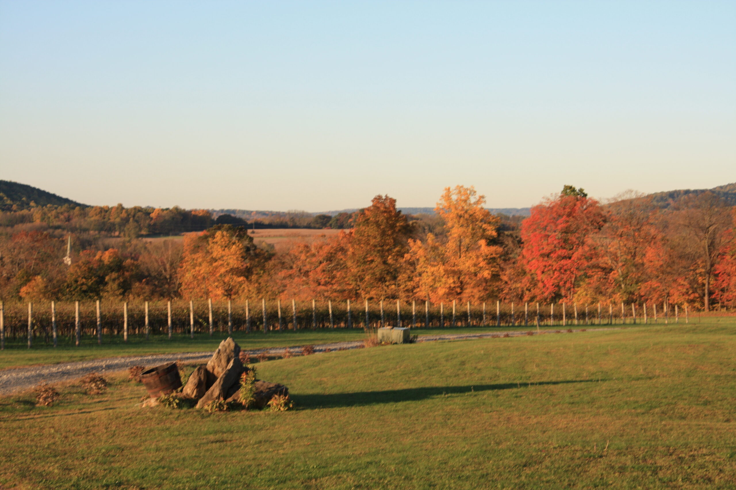 fall foliage at an NJ winery